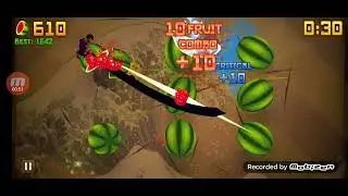 Fruit Ninja Arcade Mode World Record 1726