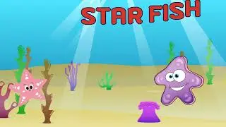 Learn About Aquatic Animals Through Fun Songs | Educational Songs for Kids!