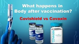 Covishield vs Covaxin || How do vaccines work?