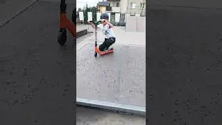 klejimy whipa