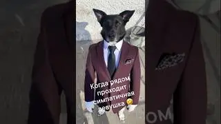 Стерлинг Арчер вернулся!