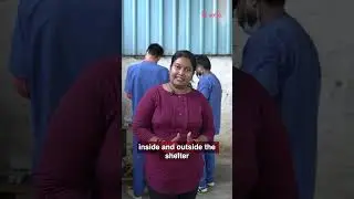 Vetic Against Rabies | Vaccine Camp at Niti Jeev Ashray, 2025