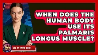 When Does the Human Body Use Its Palmaris Longus Muscle? - Did Ya Know This