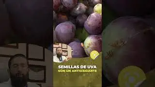 Resveratrol en Semillas de Uvas - Conferencia # 78 - Dr Benjam&iacute;n PhD (fragmento)