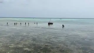 kizimkazi dimbani village women meet the fisherman.