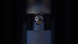 Bluey in Signs #animation #funny #bluey #blueyanimation #parody