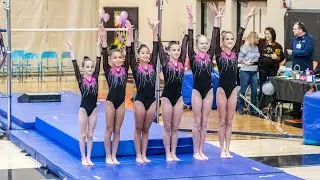 Lvl.5 Throwback Classic Floor | PMG 2018