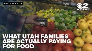 Price check shows what Utah families are actually paying for food