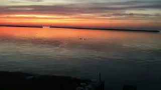 Woodchuck Swimming In Port Austin Sunset