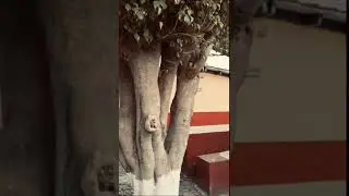 Ser docente en el siglo XXI