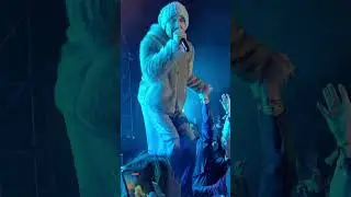 James Forest Fest Ireland 23..live