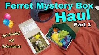 Ferret Dook Box  / Mystery Box Haul - 2K Subscriber Celebration Part 1