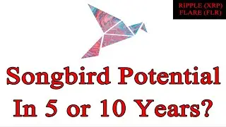 The Role Of Songbird In 5 or 10 Years? Flare Network - Hugo Philion Uphold Interview