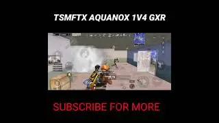 TSMFTX AQUANOX 1V4 GXR
