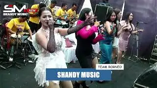 STECU STECU - ALL ARTIS - NEW SHANDY MUSIC