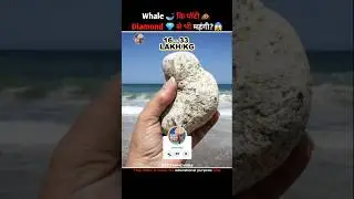 Why Whale Vomit is so expensive  | why Whale poop is so expensive  | what is Ambergris? #shorts