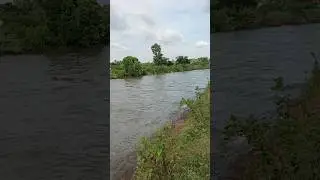 Irrigation Canal for Cultivation #irrigation #canal #farming #cultivation