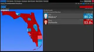 The 2024 Presidential Election ran by The Political Process