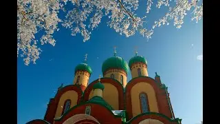 17.01.26. Суббота. Божественная Литургия. Прп. Симеона Псково-Печерского.