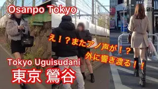 【4k】Osanpo Tokyo Uguisudani お散歩鶯谷 2024.2.13