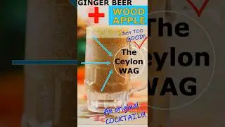 THE CEYLON WAG COCKTAIL - Trending (ORIGINAL) Wood Apple Ginger Beer (Food Coma ASMR)