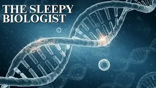 The Sleepy Biologist | The Silent Symphony of Genes: How Life Writes Its Code