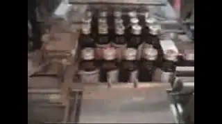 Feeding Conveyor with Shrink Tunnel with Bottles, Auto Shrink Wrapping Machine