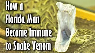 How a Florida Man Became Immune to Snake Venom