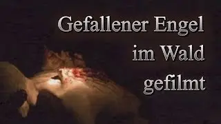 Hoax? - Monster im Wald