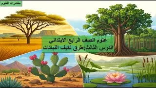 علوم الصف الرابع الابتدائي | الدرس الثالث: عالم النبات (نشاط ٧)طرق تكيف النباتات 🌱 | مغامرات العلوم
