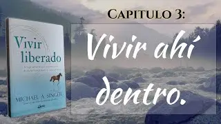 Vivir Liberado - Audiolibro - Michael Singer - Capitulo 3 - Vivir ahi dentro
