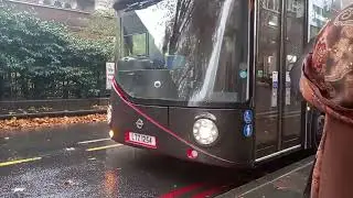 Advert Wrap | SLN LT254 On Bus Route 8 (Spot) 