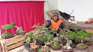 Special Obral Tahun baru super murah 0822 3323 3078