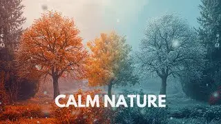 Relaxing Piano Music with Water Sounds 🌊 Deep Sleep & Meditation