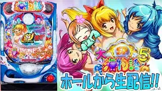 P大海物語5スペシャル!はなちゃんの生配信!②(2026/02/04)