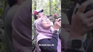 VLOG- Serunya Ikut Birdwatching di Klabili, Tambrauw, Papua Barat