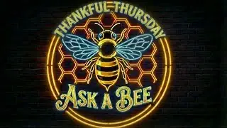BBTV | Ask A Bee &mdash; Thankful Thursday AITA (Gratitude vs entitlement stories)