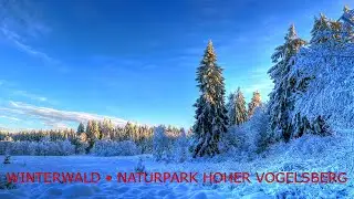 Winterwald &bull; Naturpark Hoher Vogelsberg