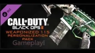 CoD: BO2- Weaponized 115 Personalization Pack