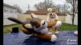 Loud Inflatable Puffypaws Wolf Sit Pop In Japan Again Wakko From (Canfurence/Eurofurence)
