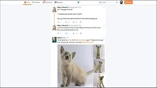 How to Stop Seeing Twitter&rsquo;s &ldquo;Best Tweets&rdquo; at the Top of Your Timeline