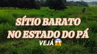 SÍTIO BARATINHO NA REGIÃO DE ANAPU PARÁ 😱😱😱😱