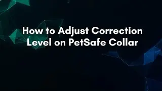 Как настроить уровень коррекции на ошейнике PetSafe