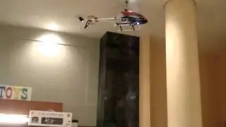 MOV04223