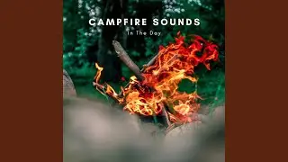 Fire Ember Ambience