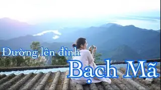 Đường lên Đỉnh Bạch Mã | Bach Ma National Park | Hue Vietnam |