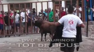 Villafam&eacute;s 19/08/2016 - Novillo 