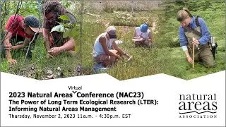 Rugged Terrain Shapes Alpine Responses to Climate Change Long-Term Trends and Experimental Insights