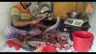 Mastering the Art of Fish Cutting: Live Tutorial on Preparing Rue Fish!