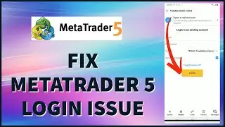 Как исправить проблему со входом в MetaTrader 5 2024?
